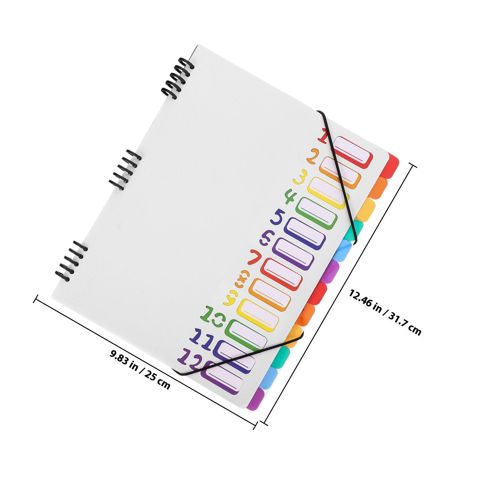 A4 Document Organizer File Bin - Tab Divider A4 review and price