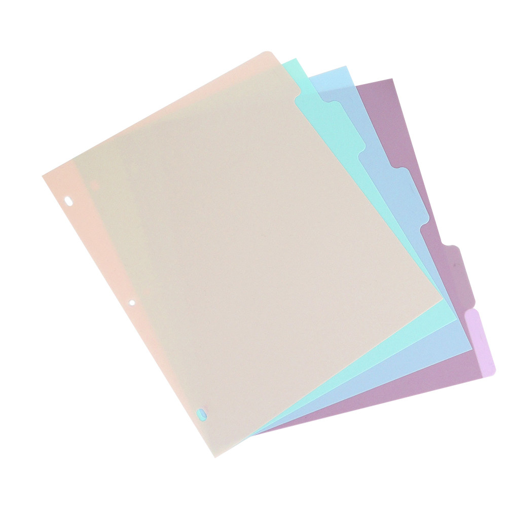 1Set Frosted PP A4 Binder Divi - Tab Divider A4 review and price
