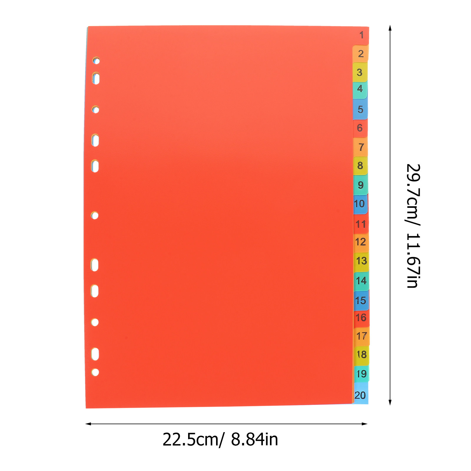 20Sheets A4 Tabbed Binder Divi - Tab Divider A4 review and price