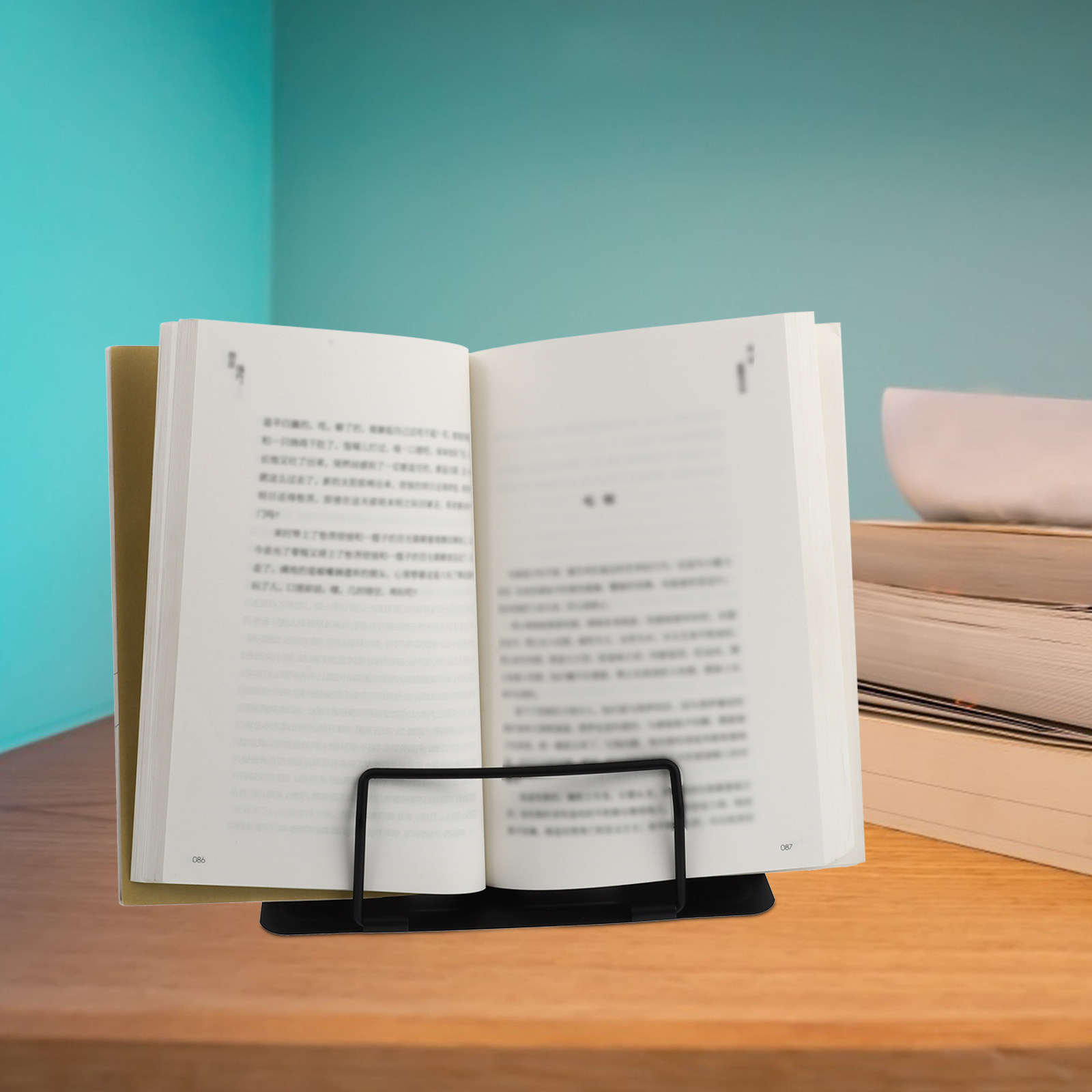 1Pcs Exquisitely Crafted Iron  - Magazine Holder Rack review and price